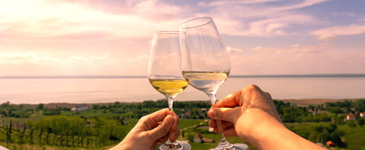 a glass of wine with vineyards in the background 